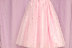 Robe princesse (1)