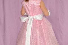 Robe princesse (11)