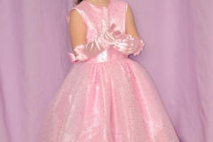 Robe princesse (4)