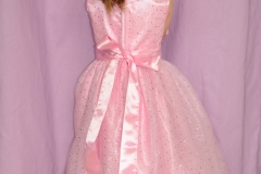 Robe princesse (8)